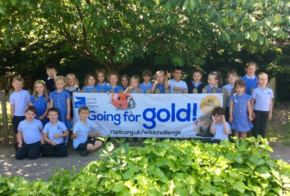 Going For Gold
