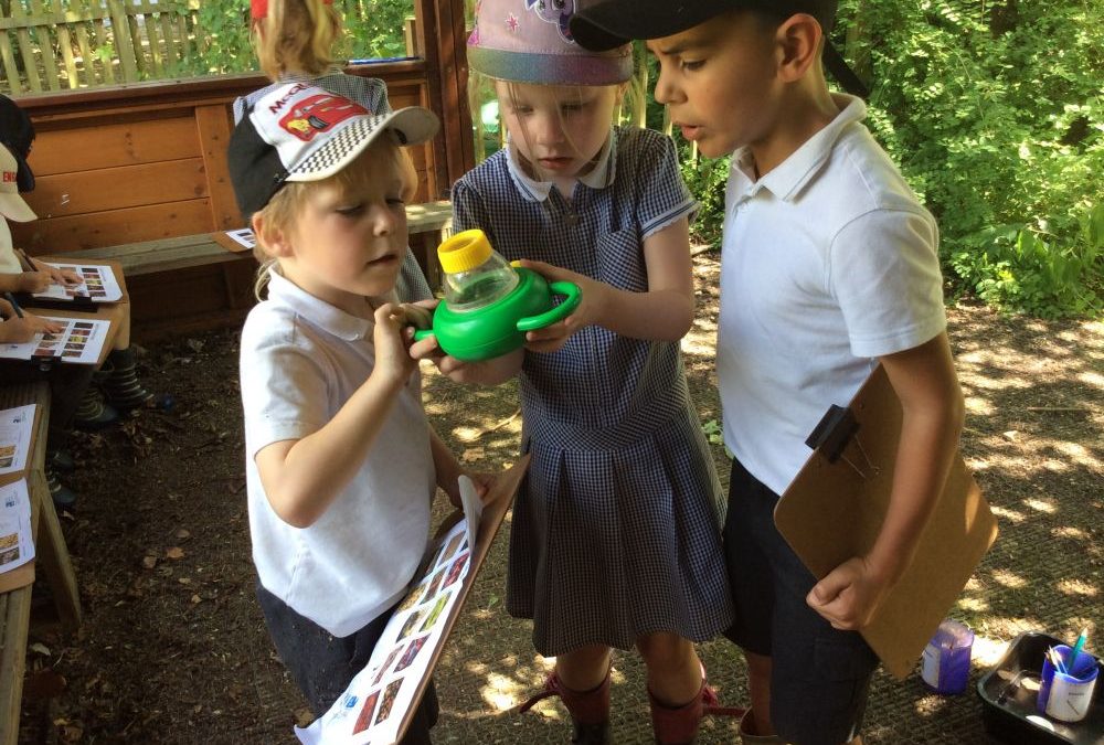 Wildlife Detectives