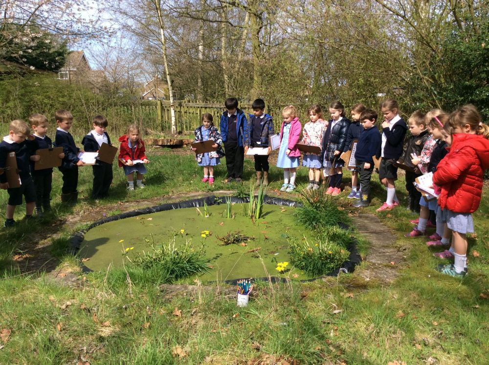 Forest Fun | Stratford St Mary Primary School | Suffolk