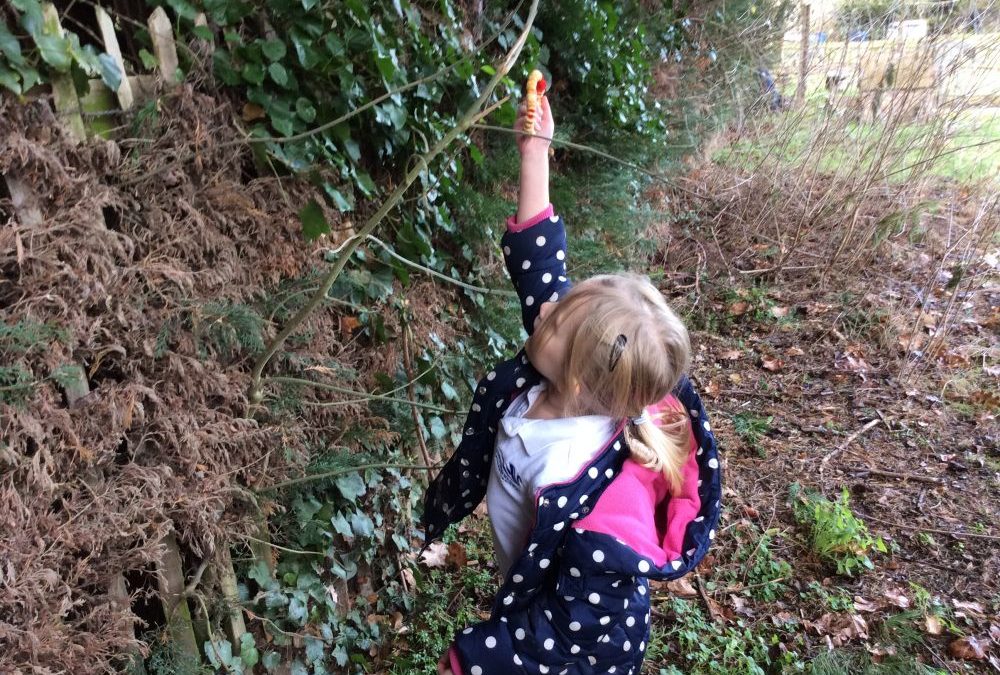 Bird Feeders & Birdwatch