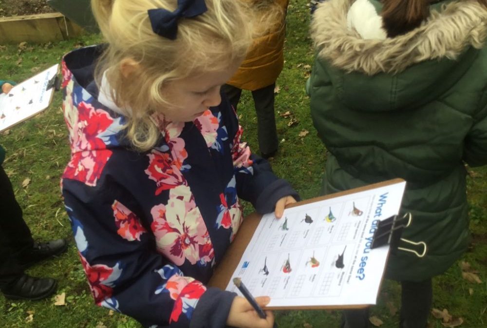 Big Schools Birdwatch