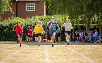 Sports Day 22 – Owls and Swans