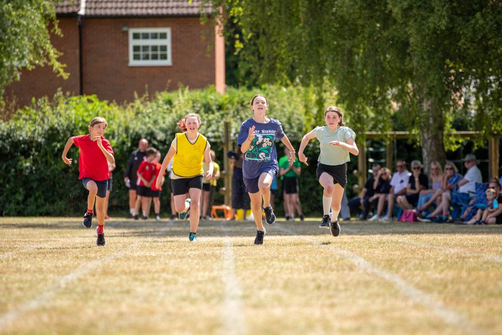 Sports Day 22 – Owls and Swans