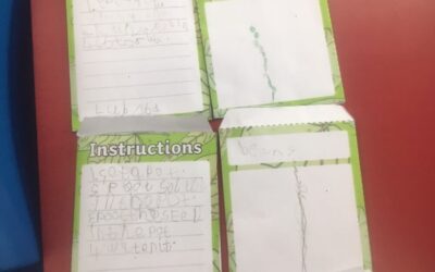 Seed Packets – Instructions