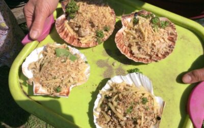 ‘Baked Scallops’ for the Birds in Forest Fun