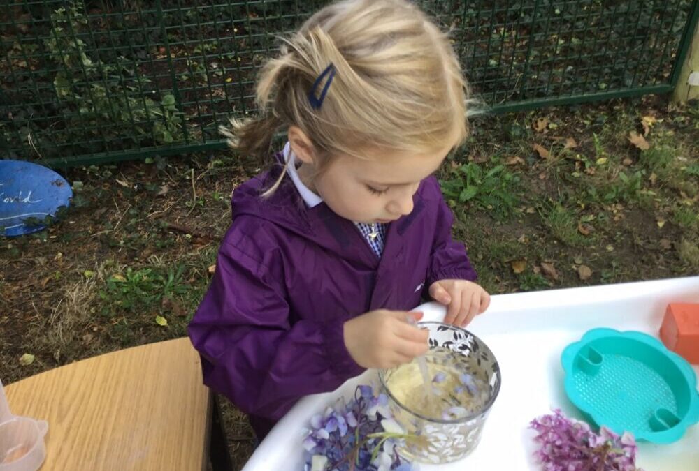 Conker Caterpillars and More…Forest Fun