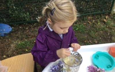 Conker Caterpillars and More…Forest Fun