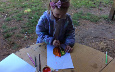 Thinking about Bird Wildlife in Forest Schools