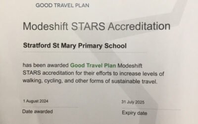 Modeshift Stars Accreditation