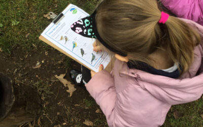 RSPB Big Schools Birdwatch