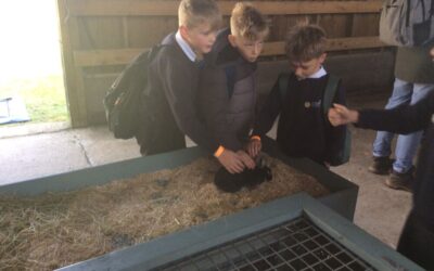 Schools’ Farm and Country Show 2025
