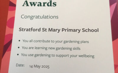 Level Two The Royal Horticultural Society School Gardening Award