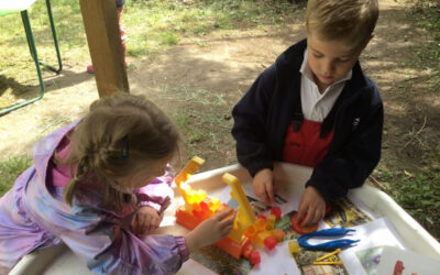 World Bee Day Forest Schools