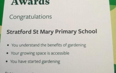RHS School Gardening Awards