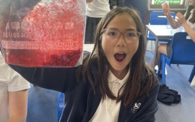 The Swans have been learning about blood!