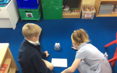 Computing Beebots