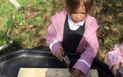 Forest Fun – Hammers