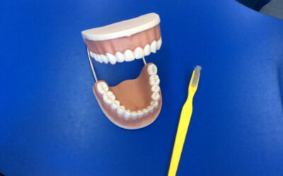 People Who Help Us – Dentist