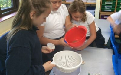 Science: Separating mixtures