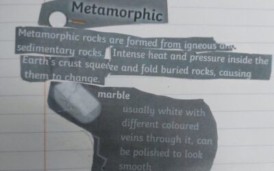 Paragraphs!