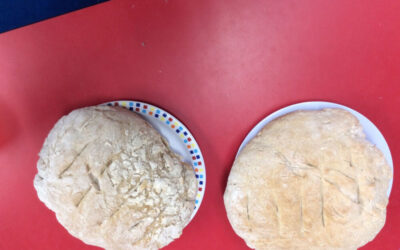 Baking Bread