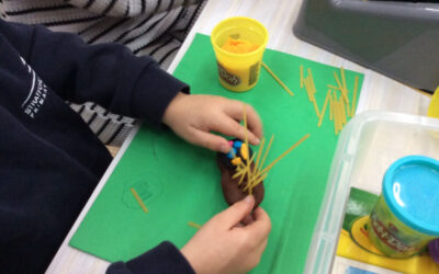 Woodland Animal Workshop