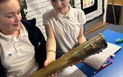 Derrick Thomas (Windrush Elder) visits our school