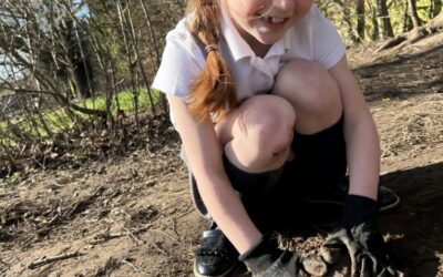 Geography – Mud Mountains