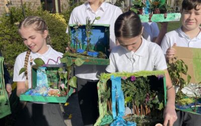 Rainforest Dioramas