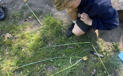 Year 5 angles