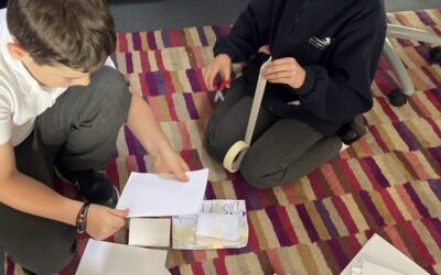 Swans Taskmaster Maths Challenge