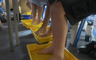 Year 5 English Lesson