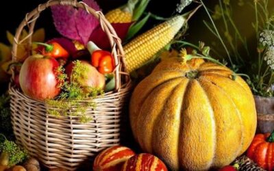 Harvest Assembly & Food Donations